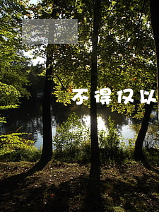 不得仅以出轨为由离婚(出轨提出离婚)
