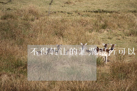 不得转让的汇票银行可以拒绝付款吗