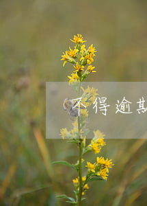 不得逾期處理意味著什么(什么叫逾期處理)