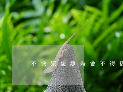 不快樂想離婚舍不得孩子怎么辦