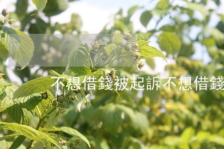 不想借錢被起訴(不想借錢了)
