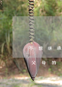 不想继承父母遗产怎么办手续(子女可以继承父母的遗产但是父母不能继承)