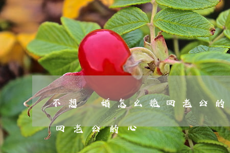 不想離婚怎么挽回老公的心(不想離婚怎么挽回老公的心)