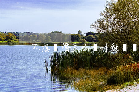 不想離婚怎么辦才能辦結(jié)婚證