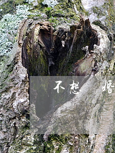 不想離婚想挽回怎么辦