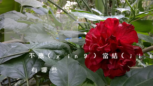 不應(yīng)當結(jié)婚的疾病有哪些
