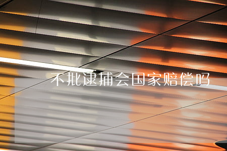 不批逮捕会国家赔偿吗