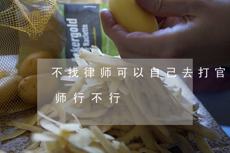 不找律师可以自己去打官司吗(打官司不找律师行不行)