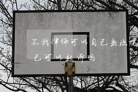 不找律师可以自己去法院起诉吗(不找律师自己可以起诉吗?)