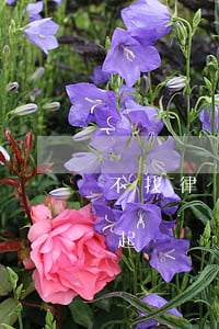 不找律師可以直接起訴嗎(不找律師可以直接起訴嗎小孩撫養(yǎng)費起訴)