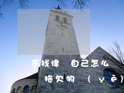 不找律師自己怎么訴訟(不找律師自己怎么訴訟拖欠物業(yè)費(fèi))