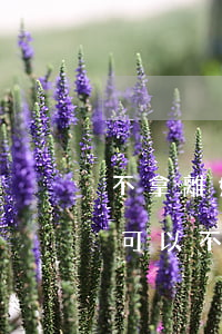 不拿離婚協(xié)議可以離婚嗎(離了婚可以不遵守離婚協(xié)議嗎)
