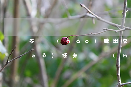不掛號(hào)牌出交通事故算誰的責(zé)任(未懸掛號(hào)牌發(fā)生交通事故)