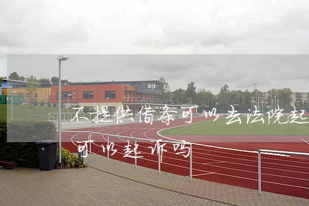 不提供借条可以去法院起诉吗(如果没有借条可以起诉吗)