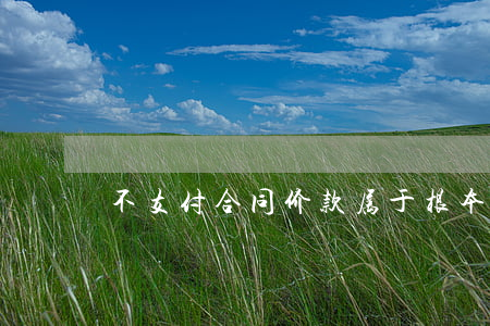 不支付合同价款属于根本违约吗
