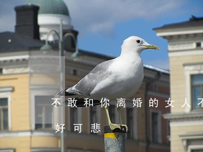 不敢和你离婚的女人(不敢离婚的女人是不是好可悲)