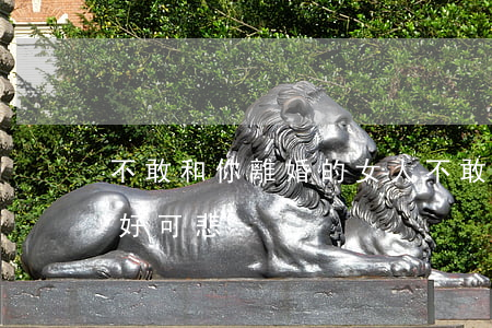 不敢和你離婚的女人(不敢離婚的女人是不是好可悲)