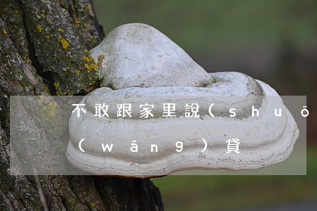 不敢跟家里說(shuō)欠了信用卡和網(wǎng)貸