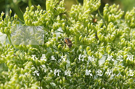 不是五大銀行的貸款逾期會怎么樣-不是五大銀行的貸款逾期會怎么樣嗎