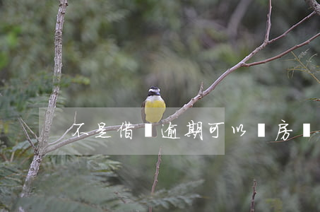 不是借唄逾期可以辦房貸嗎