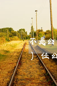 不是公司法人可以提起注銷嗎(有限責(zé)任公司法人可以注銷公司嗎)