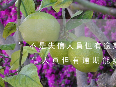 不是失信人員但有逾期能辦簽證嗎-不是失信人員但有逾期能辦簽證嗎