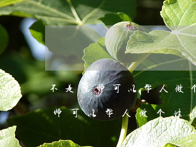 不是律师可以帮人做个性化分期吗?-不是律师可以帮人做个性化分期吗安全吗