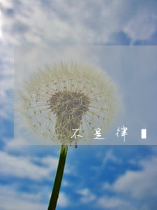 不是律師可以做訴訟代理人嗎