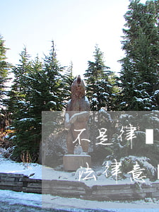 不是律師可以寫法律意見(jiàn)書嗎(法律意見(jiàn)書必須兩個(gè)律師出嗎)