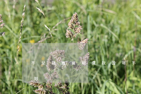 不是惡意逾期還款證明(不是惡意逾期還款證明)