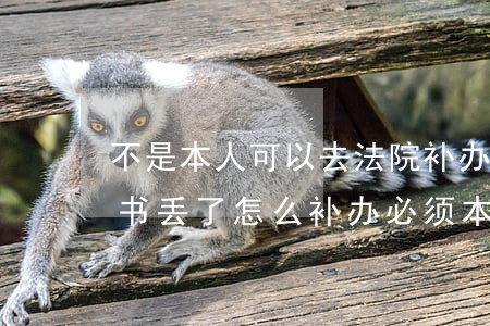 不是本人可以去法院补办判决书吗(法院判决书丢了怎么补办必须本人去吗)