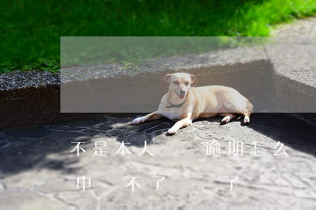 不是本人網貸逾期怎么辦(我沒有逾期為什么申請不了網貸了?)
