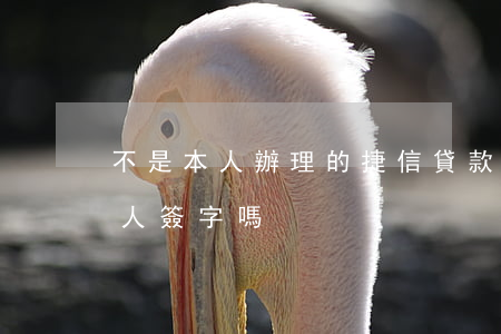 不是本人辦理的捷信貸款(捷信貸款不需要本人簽字嗎)