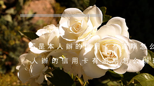 不是本人辦的信用卡有逾期怎么辦-不是本人辦的信用卡有逾期怎么辦理