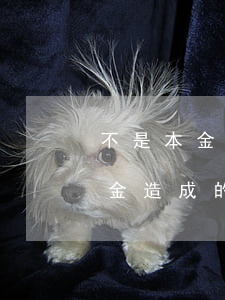 不是本金造成的逾期上征信合法嗎-不是本金造成的逾期上征信合法嗎怎么辦