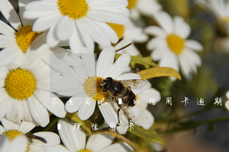 不是自己辦的信用卡逾期怎么辦(有逾期怎么辦理信用卡)