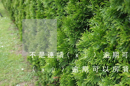 不是連續(xù)逾期可以房貸嗎(不是連續(xù)逾期可以房貸嗎)
