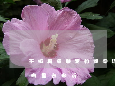 不服再审裁定如何申诉(民事再审不服的应到哪里去申诉)