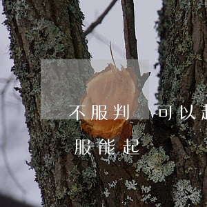 不服判決可以起訴法院嗎(法院判決書下來不服能起訴嗎)