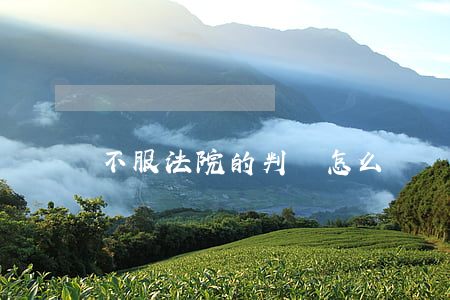 不服法院的判決怎么辦