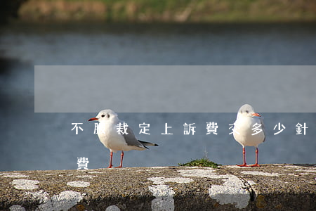 不服裁定上訴費交多少(針對裁定上訴的上訴費)