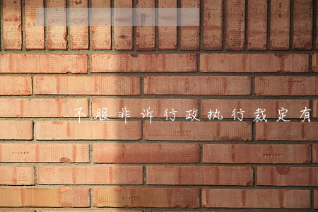 不服非诉行政执行裁定有哪些救济途径