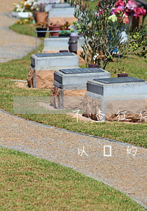 不查征信可以逾期還款嗎(不查征信有逾期可以貸的網(wǎng)貸)