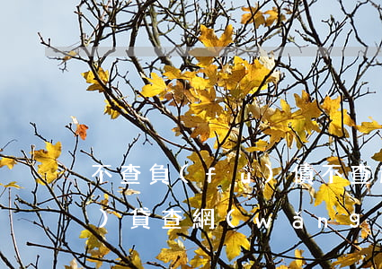 不查負(fù)債不查逾期的網(wǎng)貸(查網(wǎng)上有沒(méi)有欠網(wǎng)貸)