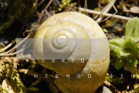 不欠信用卡錢(qián)會(huì)收到欠款短信嗎-不欠信用卡錢(qián)會(huì)收到欠款短信嗎是真的嗎
