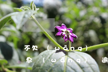 不欠網(wǎng)貸卻發(fā)逾期信息(網(wǎng)貸逾期發(fā)通告信息是真的嗎)