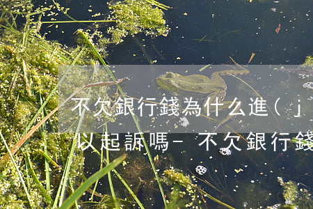 不欠銀行錢為什么進(jìn)入黑名單可以起訴嗎?-不欠銀行錢但是在銀行屬于征信黑名單