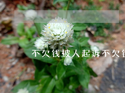 不欠钱被人起诉(不欠钱被人起诉到法院)