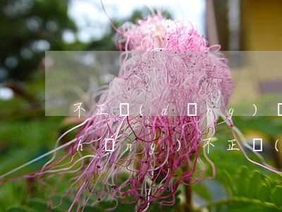 不正當(dāng)競(jìng)爭(zhēng)(不正當(dāng)競(jìng)爭(zhēng)行為案例)