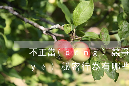 不正當(dāng)競爭行為之侵犯商業(yè)秘密行為有哪些